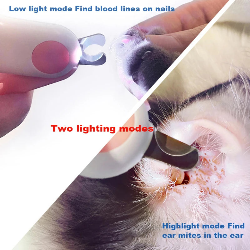 LED Pet Nail