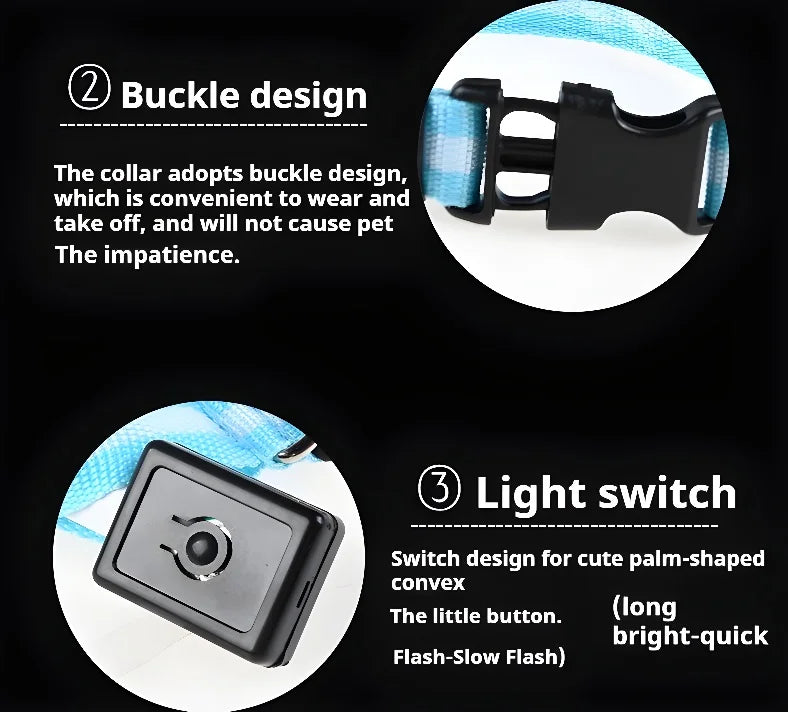 Dog Collar LED