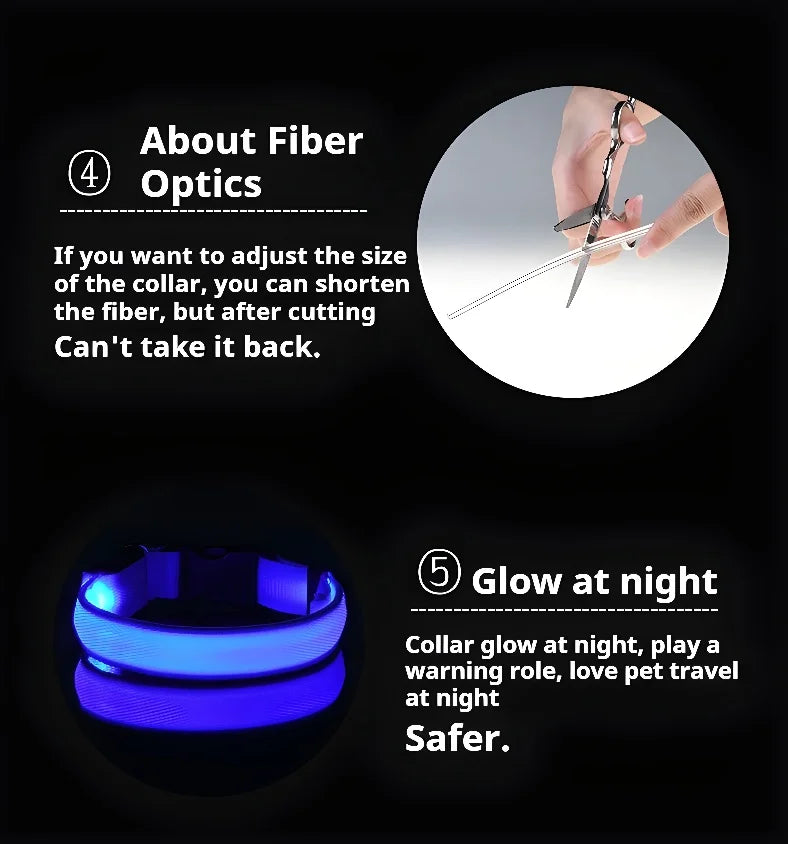 Dog Collar LED