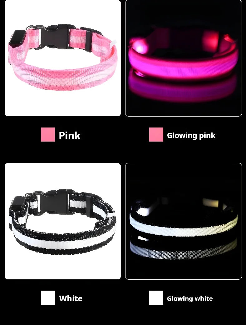 Dog Collar LED