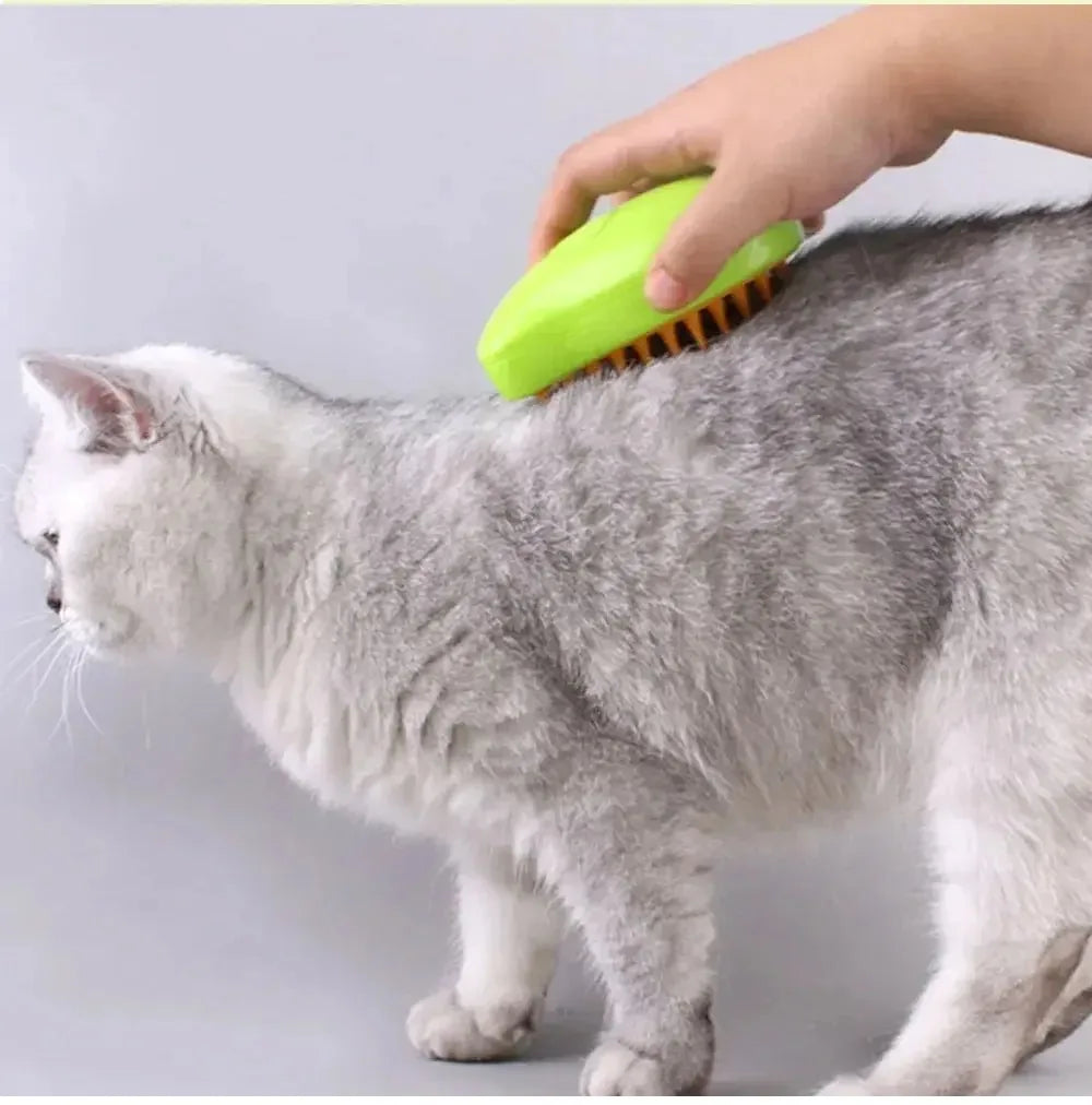 Steamy Brush