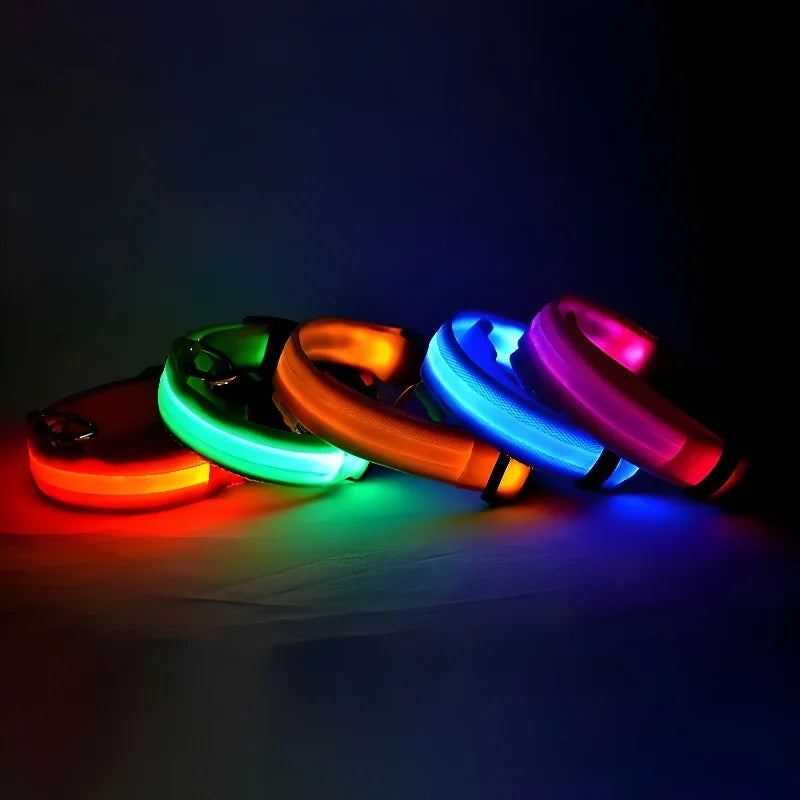 Dog Collar LED