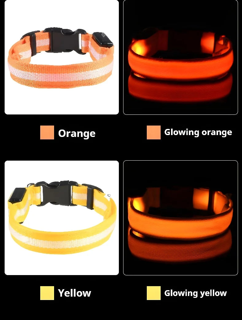 Dog Collar LED
