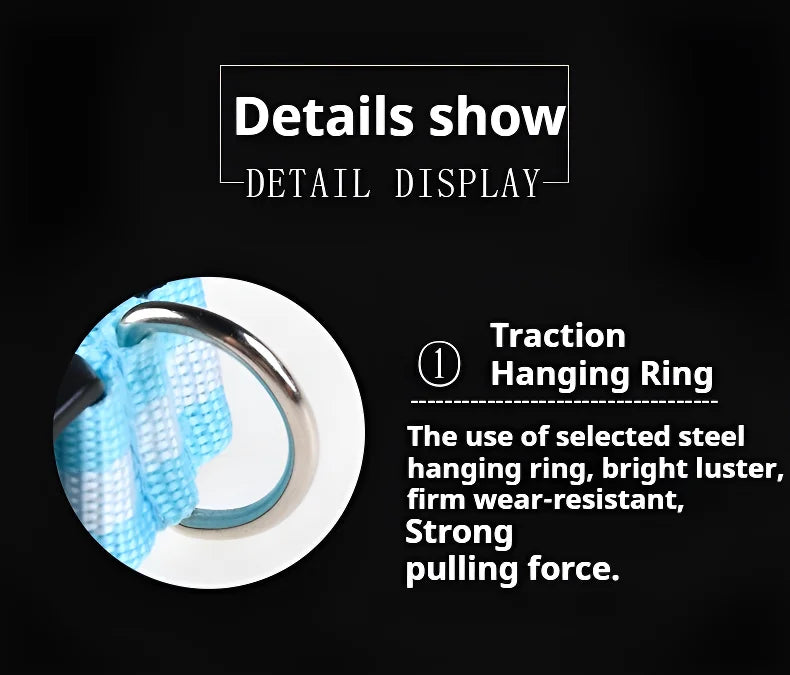 Dog Collar LED