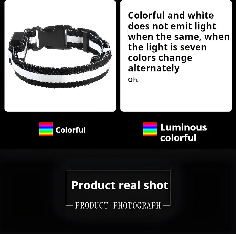 Dog Collar LED