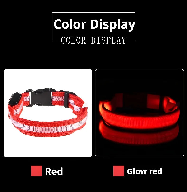 Dog Collar LED
