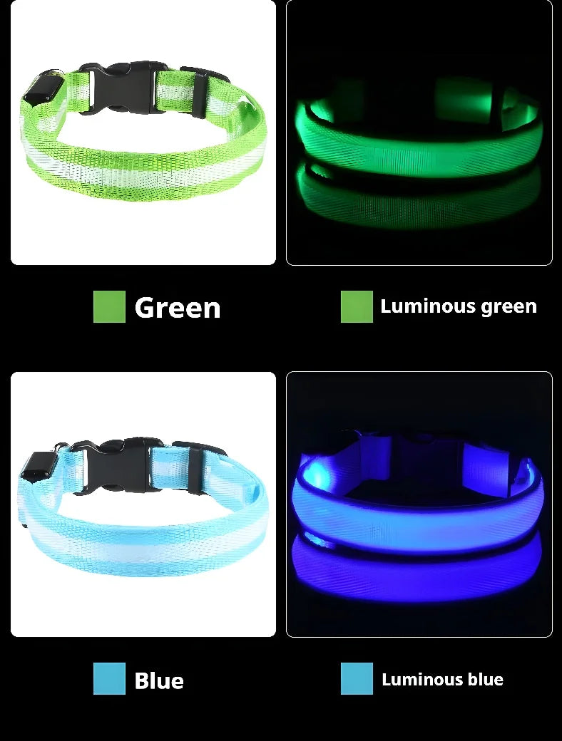 Dog Collar LED