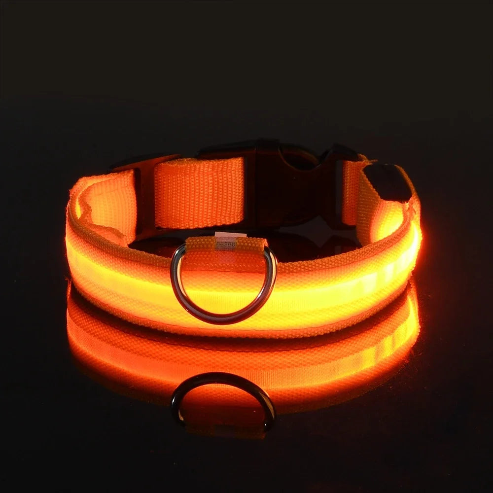 Dog Collar LED