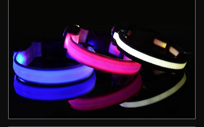 Dog Collar LED