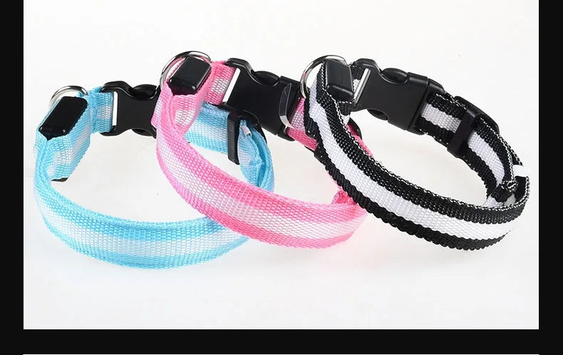 Dog Collar LED