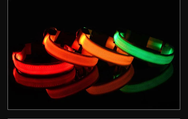 Dog Collar LED