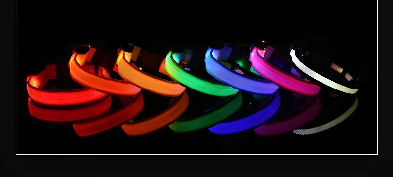 Dog Collar LED