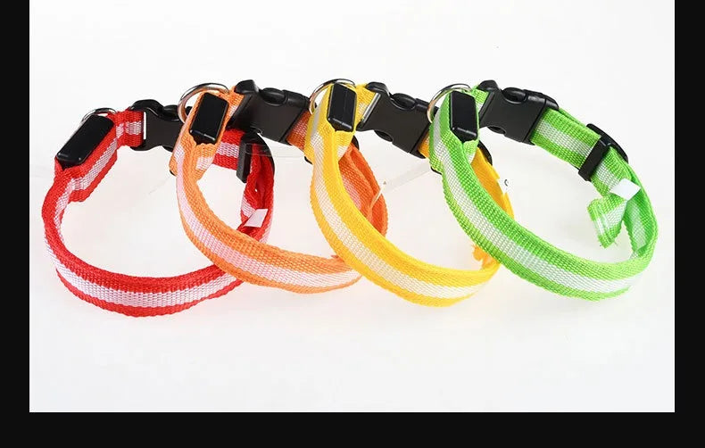 Dog Collar LED