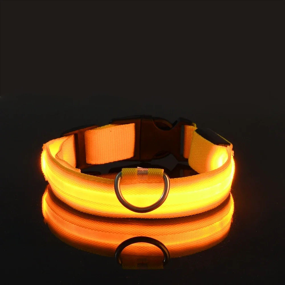Dog Collar LED