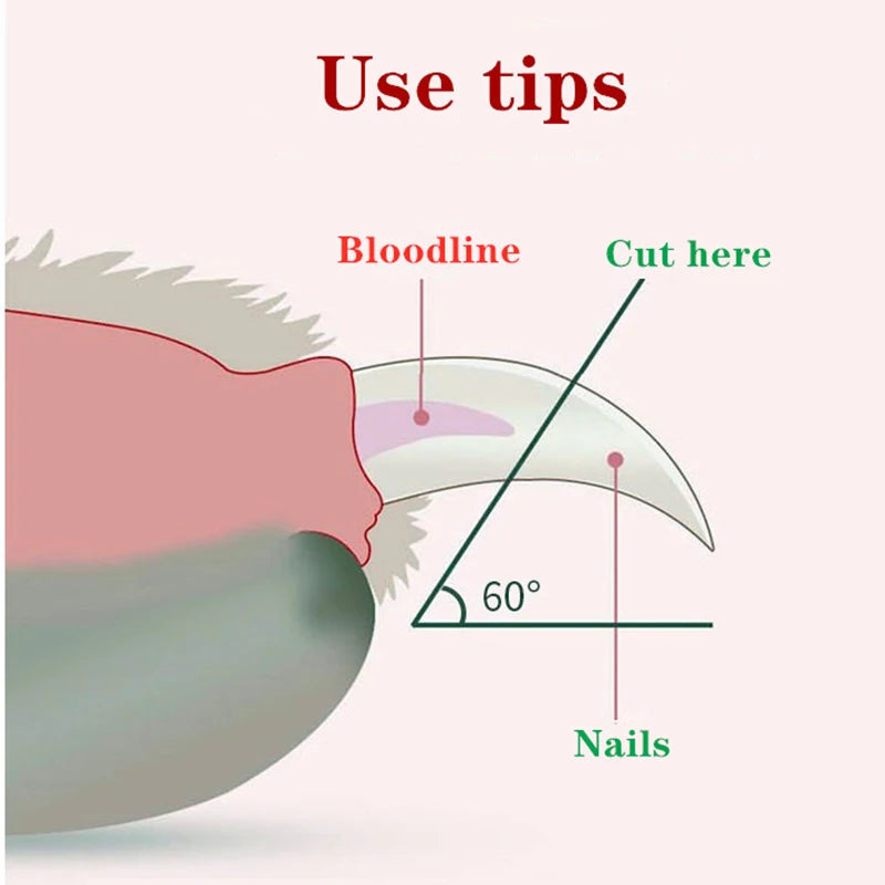 LED Pet Nail