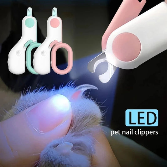 LED Pet Nail